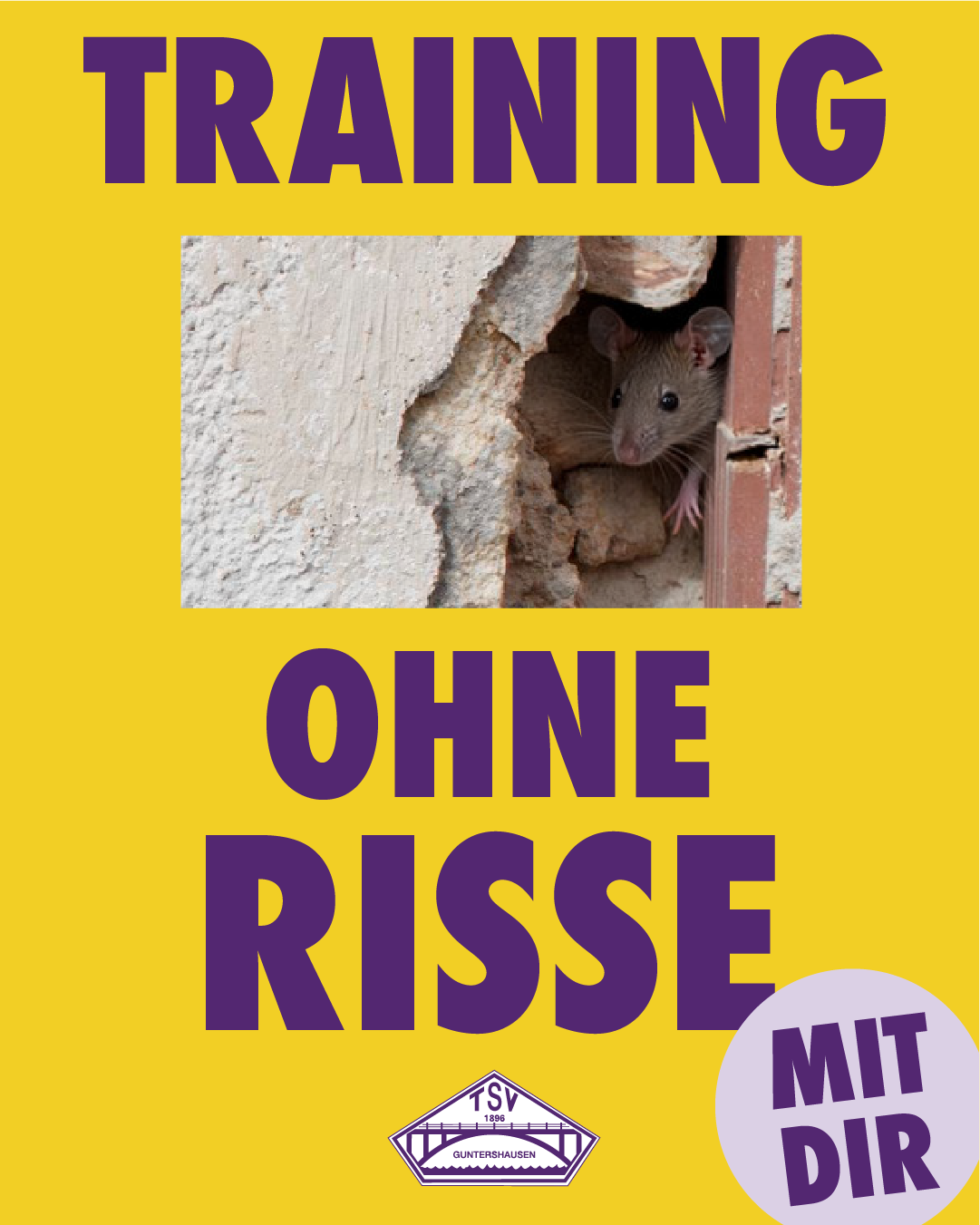 Training ohne Risse